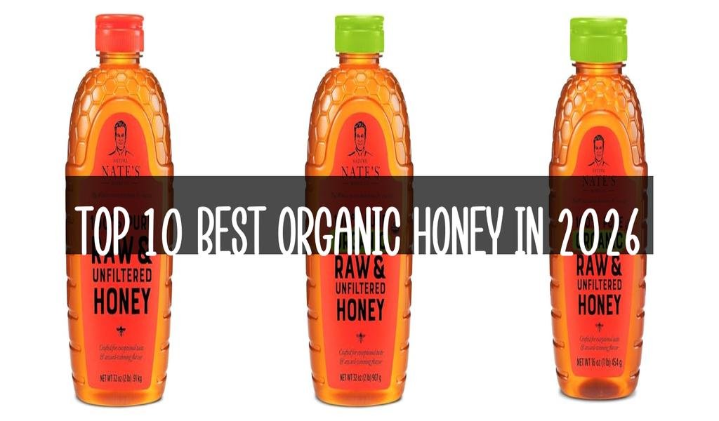 Top 10 Best Organic Honey in 2026