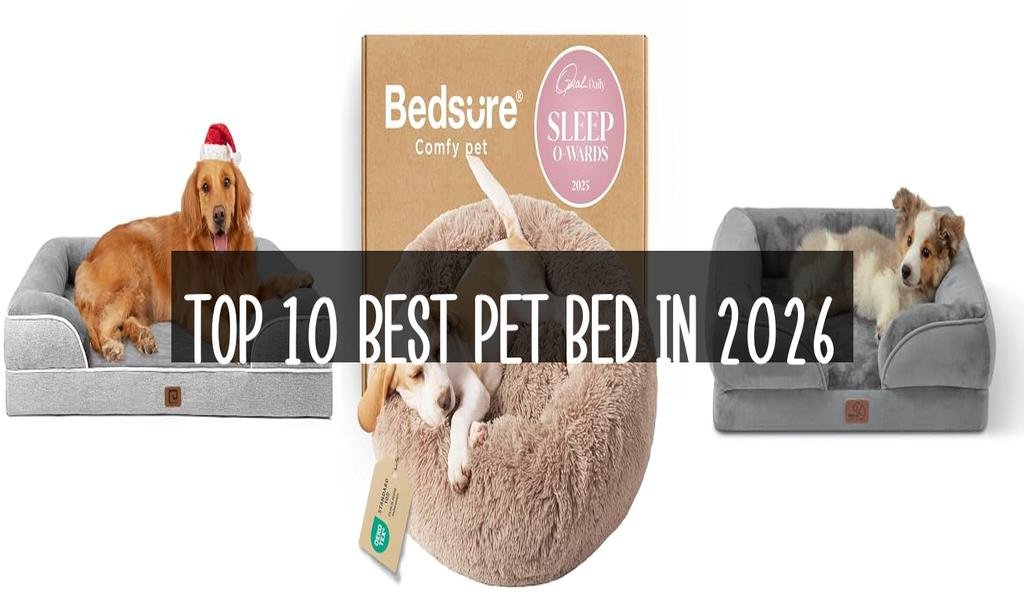Top 10 Best Pet Bed in 2026