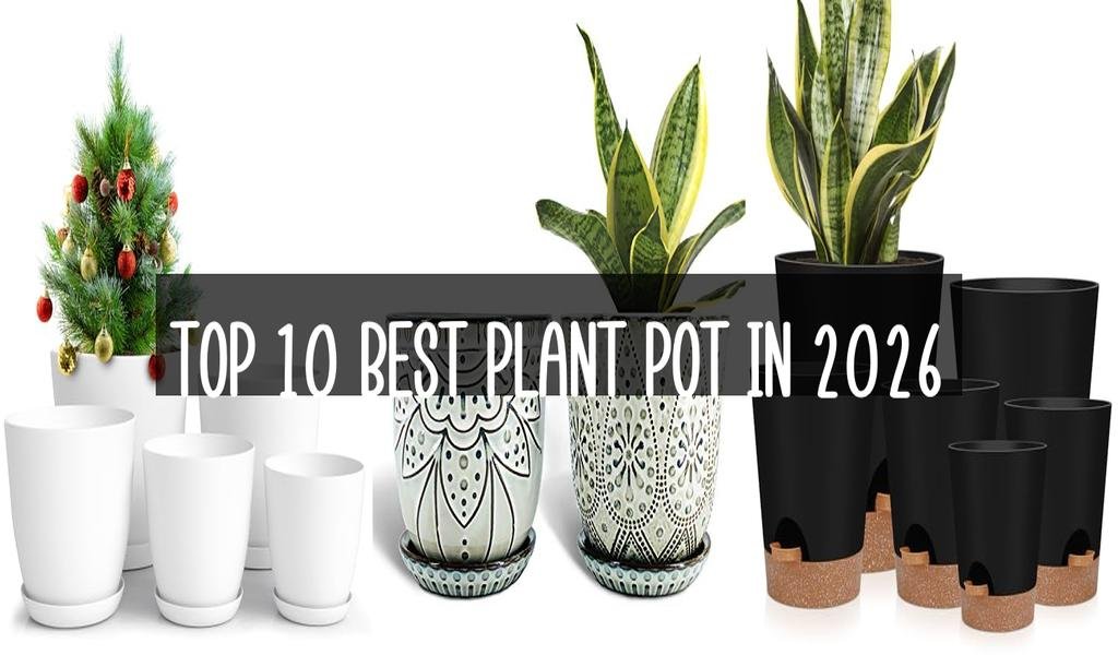 Top 10 Best Plant Pot in 2026